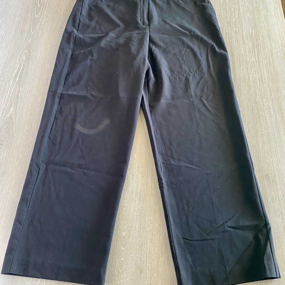 Womens Christopher & Banks Dress Pants Wide Leg Pants size 16